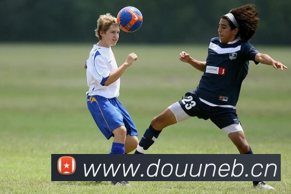 米兰官网入口APP 封面图